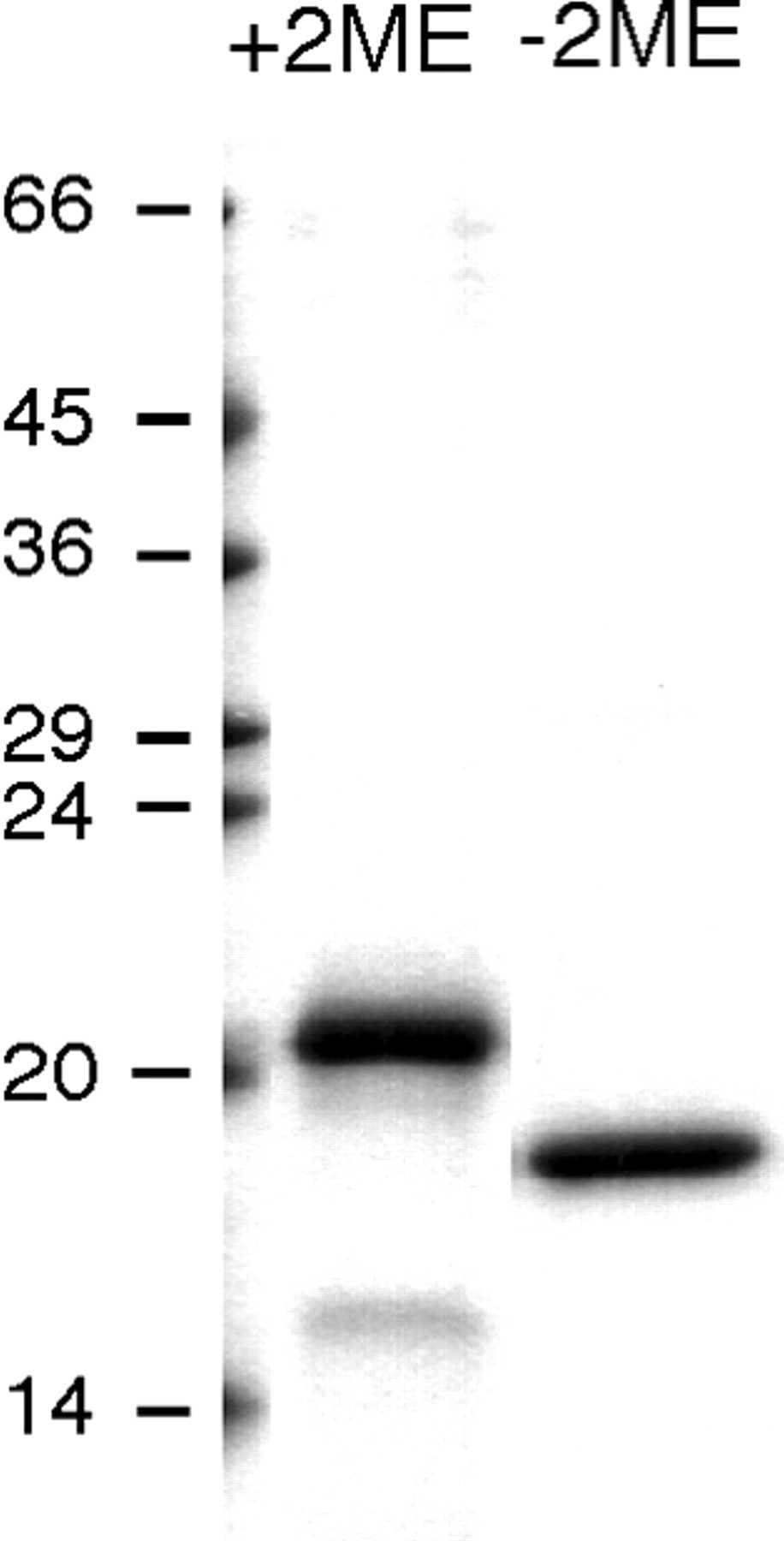C7-7368H-1.jpg