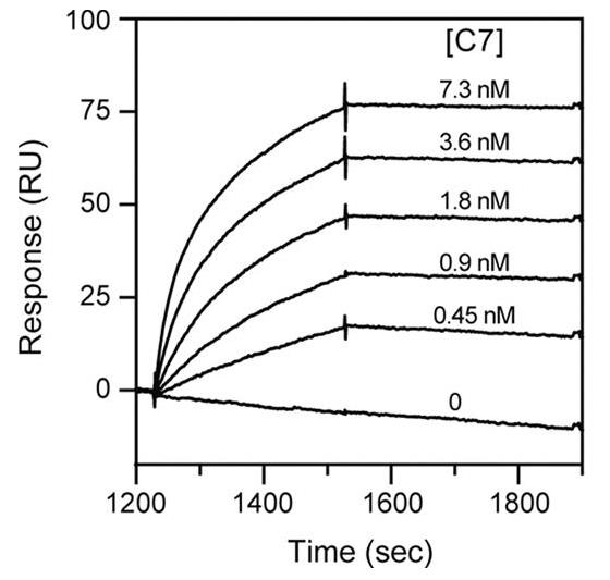 C7-7368H-3.jpg