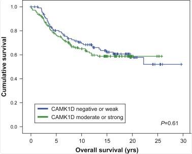CAMK1D-780H-1.jpg
