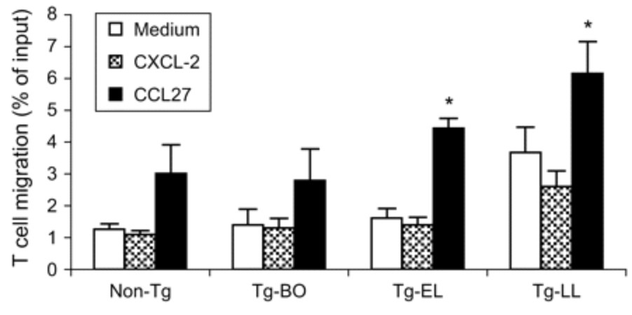 CCL27A-3.jpg