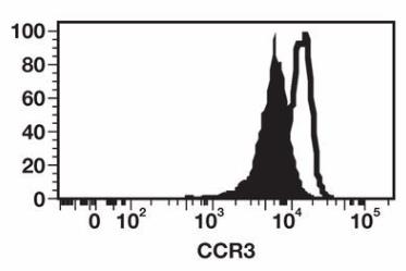 CCR3-0690H-3.jpg