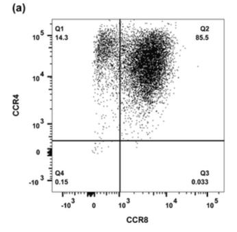 CCR8-2.jpg