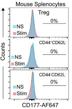 CD177-3041H-3.jpg