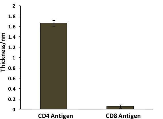 CD4-1.jpg