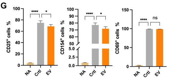 CD4-4.jpg