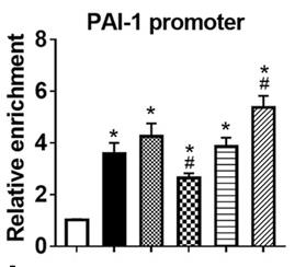 CD40LG-4.jpg