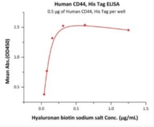 CD44-2.jpg