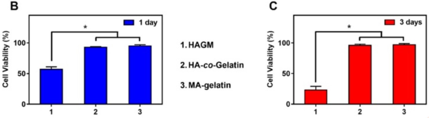 CD44-4.jpg