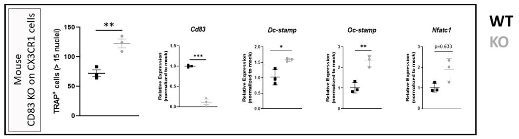 CD83-3.jpg