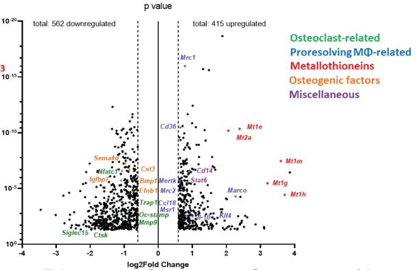 CD83-4.jpg