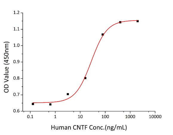 CNTF-2.jpg