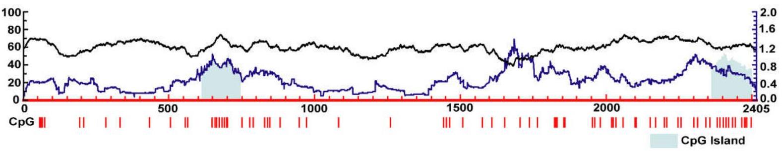 COL1A1-1206H-1.jpg