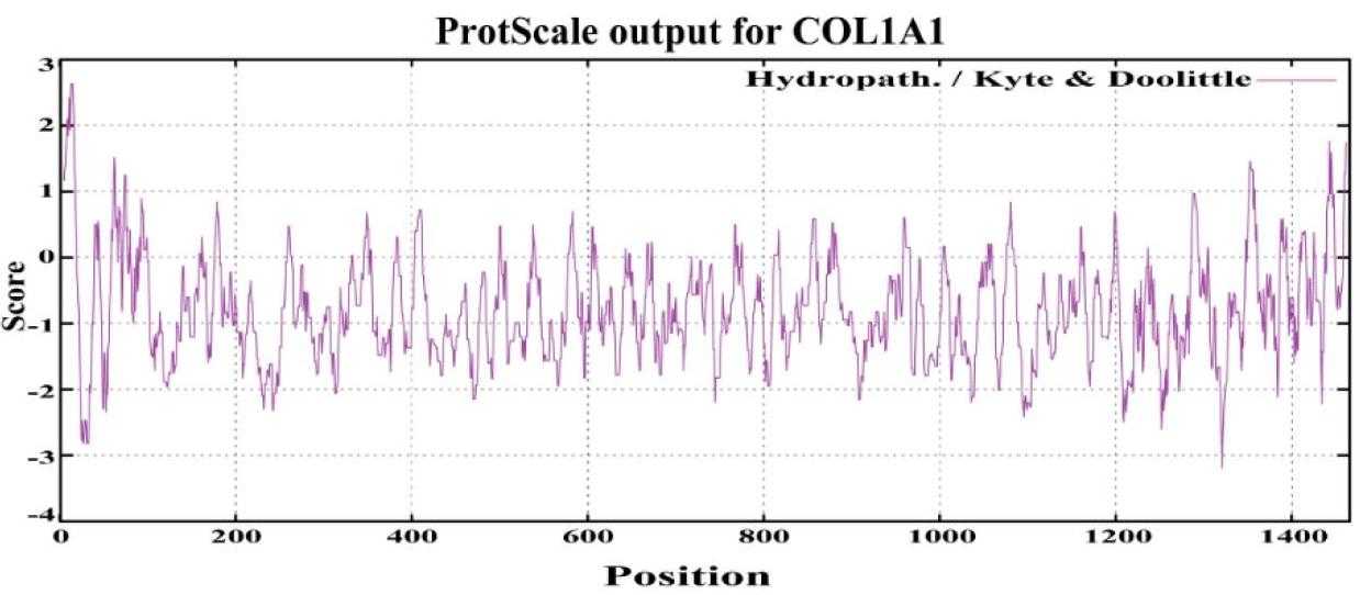 COL1A1-1206H-2.jpg
