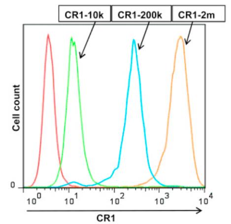 CR1-3.jpg