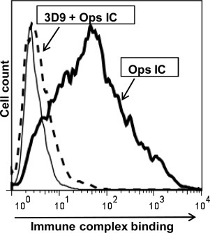 CR1-4.jpg