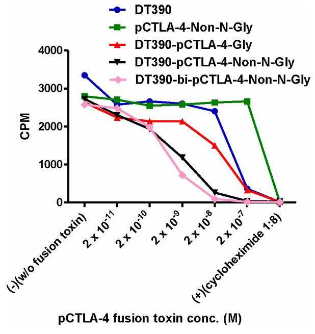 CTLA4-4.jpg