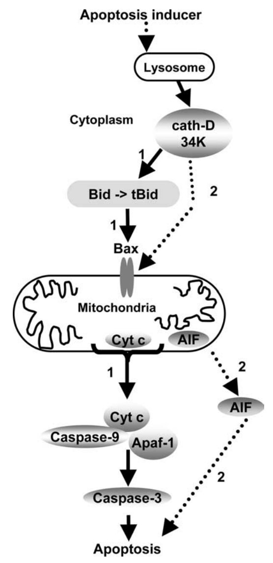 CTSD-10.jpg