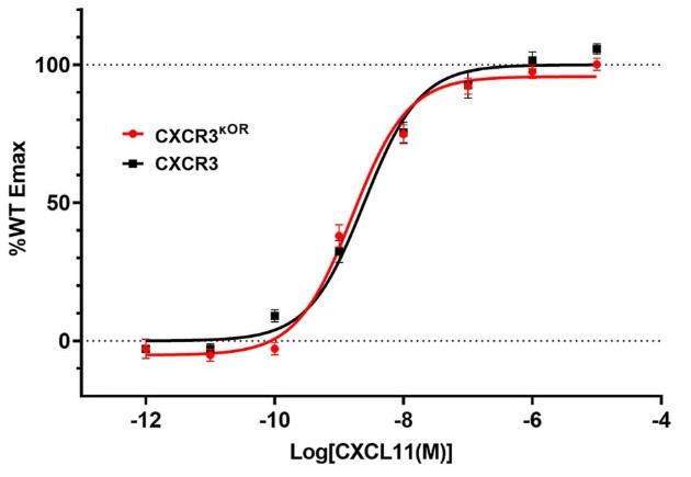CXCR3-2.jpg