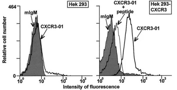 CXCR3-3.jpg