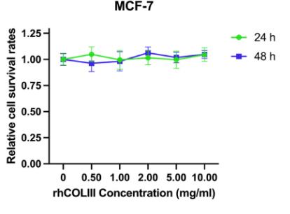 Collagen-2330H-4.jpg