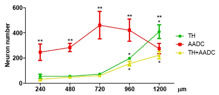 DDC-6.jpg