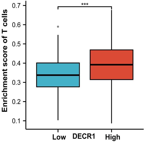 DECR1-4.jpg