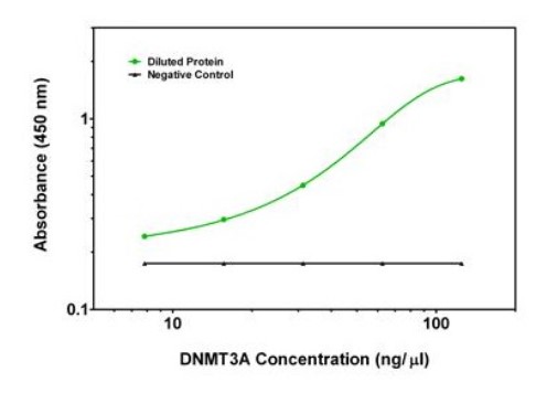 DNMT3A