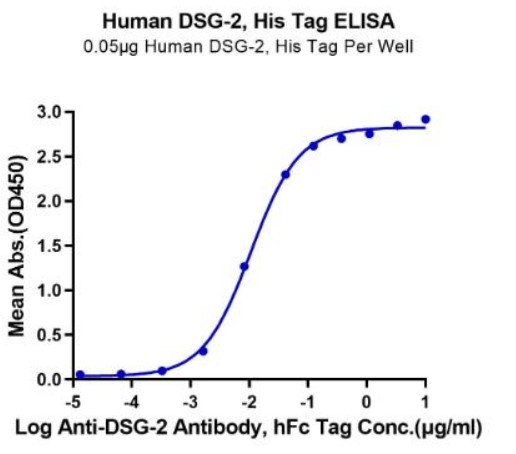 DSG2-2.jpg