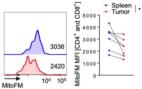 EGFR-2.jpg