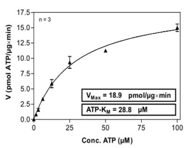 EPHA4-2.jpg