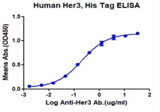 ERBB3-2.jpg