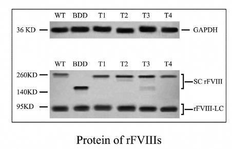 F8-3065H-3.jpg