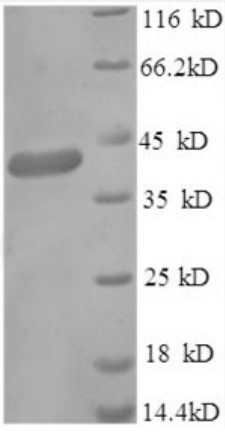 GABA-2.jpg