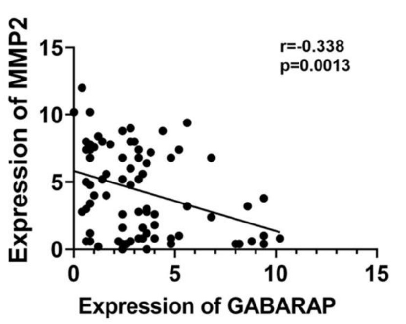 GABA-4.jpg