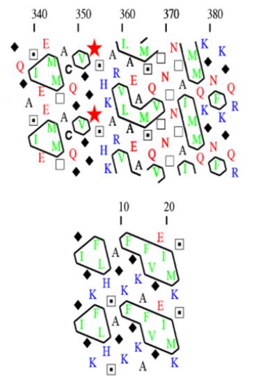 GAG-2.jpg