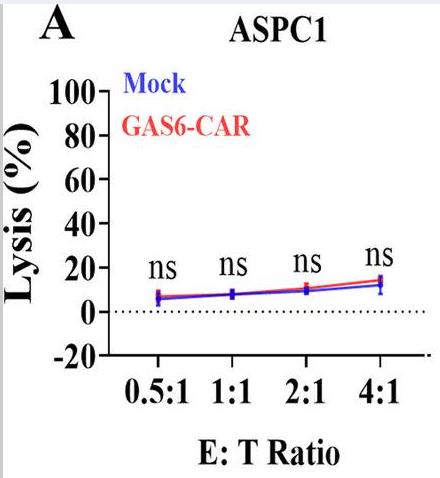 GAS6-4.jpg