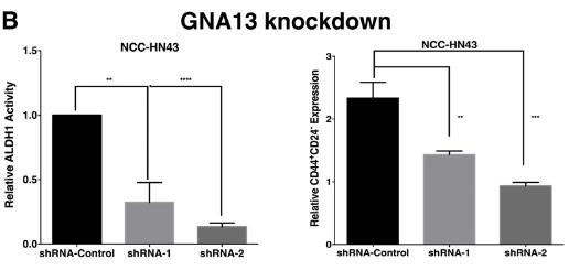 GNA13-3.jpg