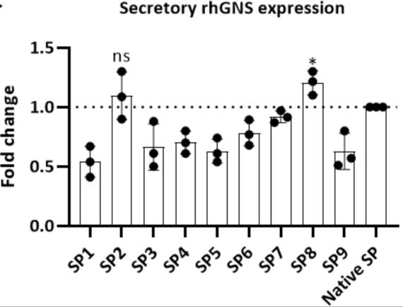 GNS-2.jpg
