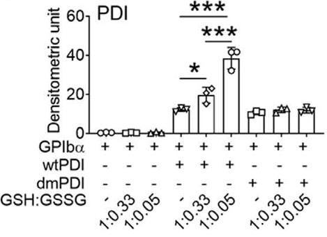 GP1BA-2.jpg