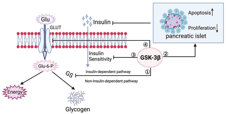 GSK3B-2350H-5.jpg