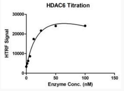 HDAC6-2.jpg