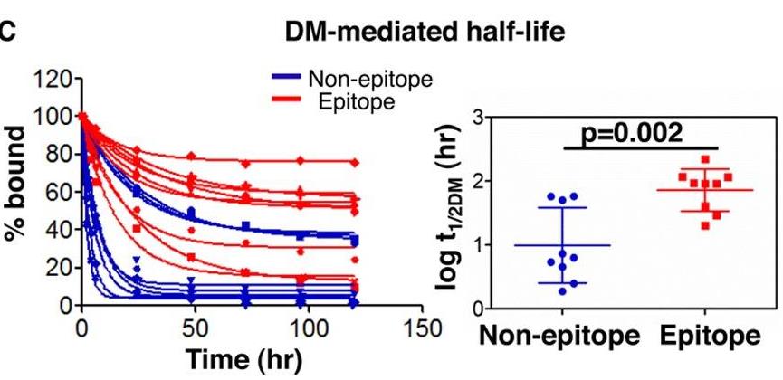 HLA-DMA-4.jpg