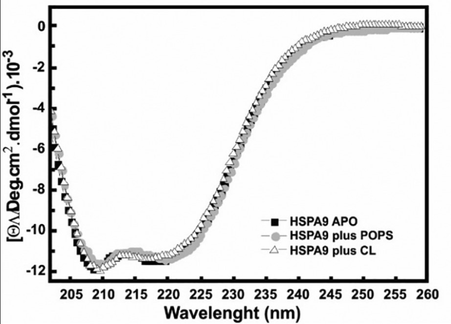 HSPA9-4.jpg