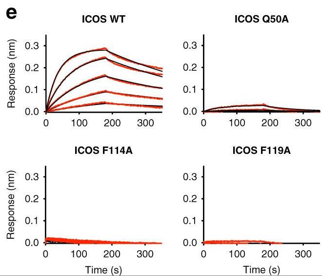 ICOSLG-1.jpg