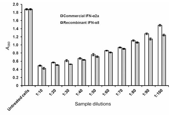 IFNA8-1022CCL-2.jpg