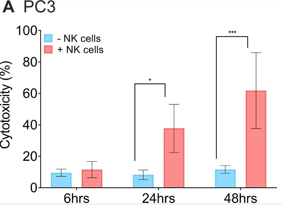 IFNB1-2.jpg