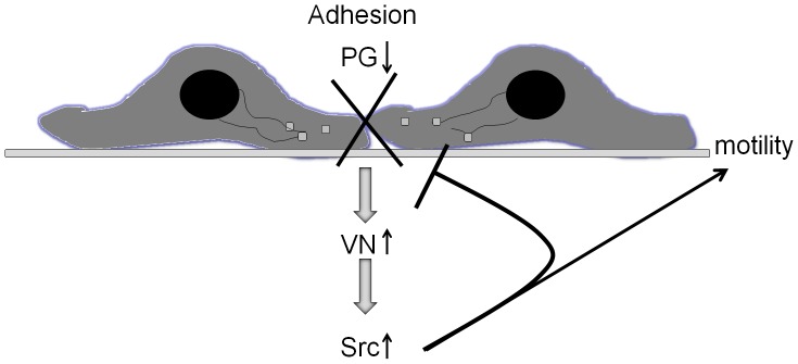 JUP-7.jpg