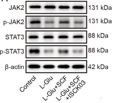 KIT-2.jpg