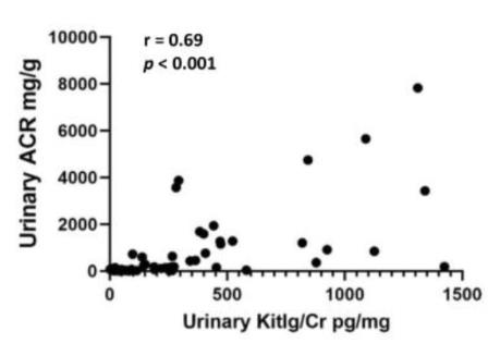 KITLG-4.jpg