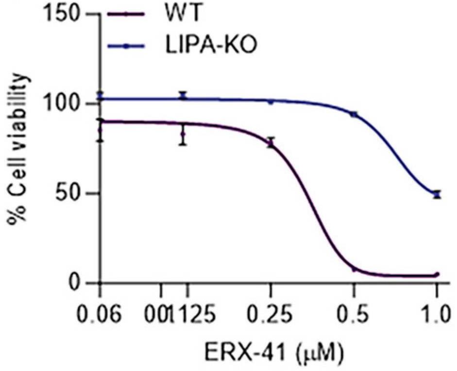 LIPA-2.jpg